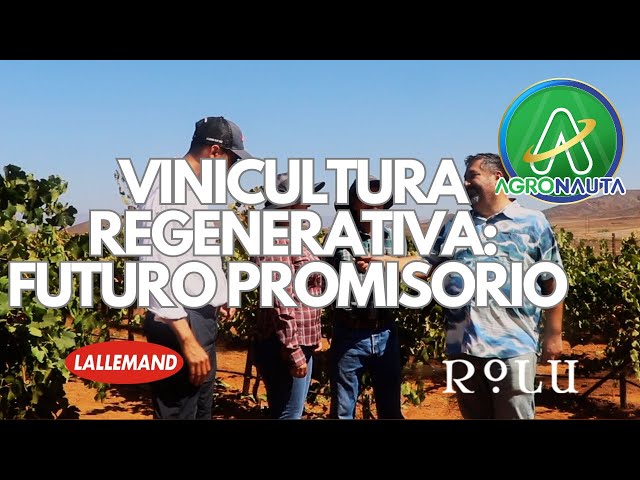 🎙️ Detrás de Rolu: Los Propietarios de la Uva Impulsan la Vitivinicultura Regenerativa 🍇🌱