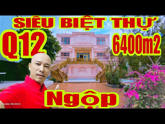 🛑ĐẠI GIA Q12 NGỘP BÁN SIÊU BIỆT THỰ 80x80=6400m2 Giá Thanh Lý GẤP VỀ QUÊ | #bietthusaigon