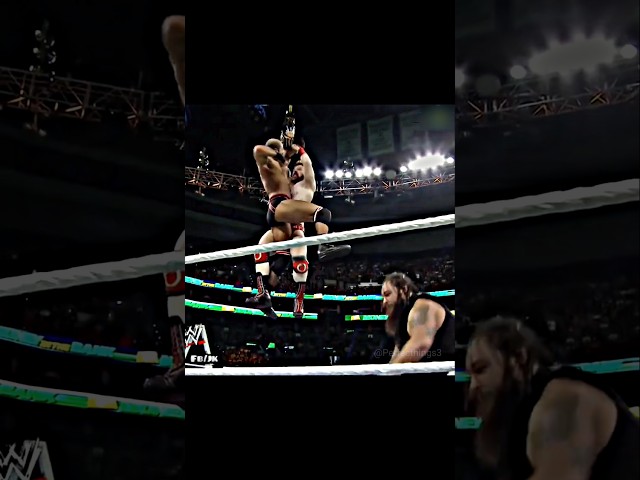 Most Insane WWE Money In The Bank Match #edit