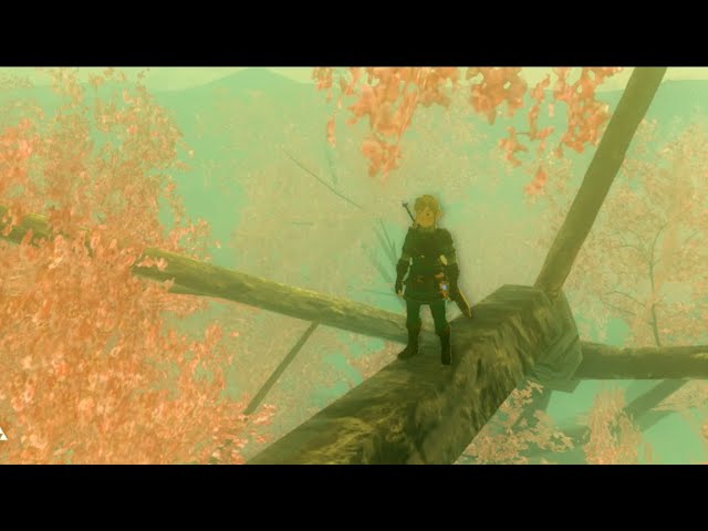 Unremarkable and odd places in Breath of the Wild