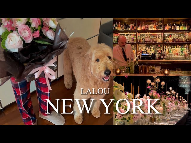 [Sub] NYC Vlog | 뉴욕 브이로그 | 뉴욕 로컬 칵테일바 | 강아지와 함께 뉴욕 | 뉴욕에서 서울 | JAL 비지니스 | 서울 맛집 | 서울 그릇 쇼핑 | 조은숙 갤러리