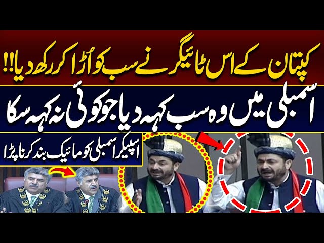 PTI MNA Blasting Speech In National Assembly!! His Speech Surprise Everyone | Hareef Digital