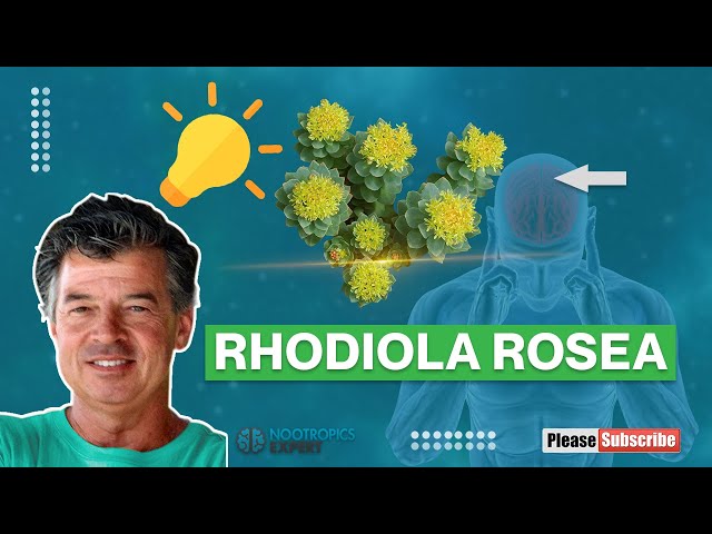 Rhodiola Rosea