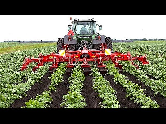 INCREDIBLE Fruit Harvesting Machines