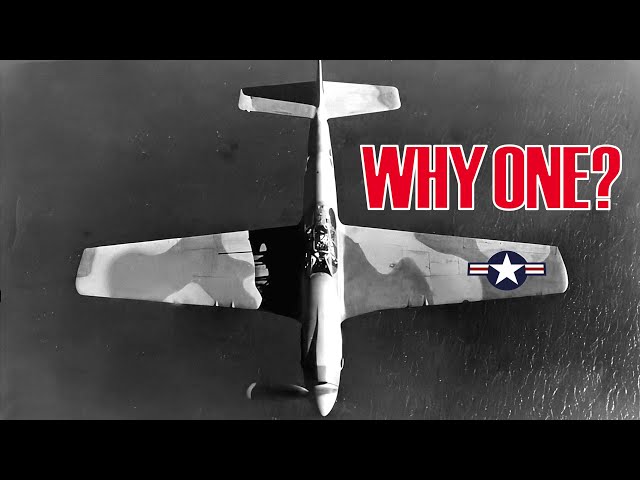 Why US planes Only had 1 Roundel