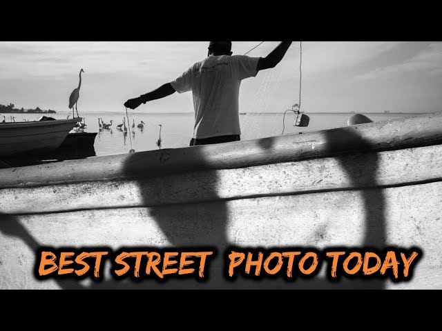 TOP 10 Street Photography of the Day (Ep 206)