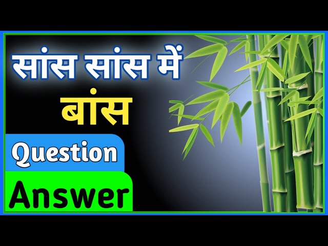 Ncert Hindi Class 6 Chapter 17 Questions And Answers | Saans Saans Mein Bas Question Answer | Part-2