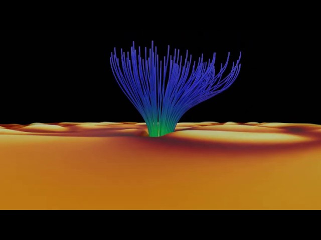 Solar Magnetic Fields 360° 4K with spatial audio | Computer Simulation