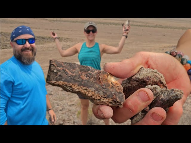 Rockhounding Utah’s Drum Mountains: From ground to grind - Jasper, agate, & petrified wood!