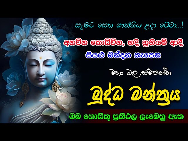 Pirith | අනවින කොඩිවින ආදී සියලු බන්දන කැපෙන බලගතු බුද්ධ මන්ත්‍රය | Most Powerful Chanting #piritha