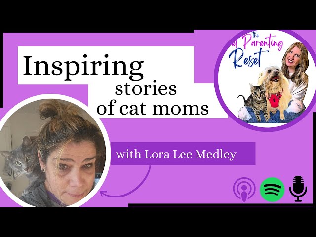 Inspiring Stories and Expert Advice for Cat Parents