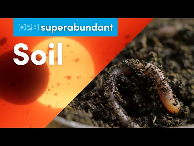 The epic story of Oregon’s soil | Pacific Northwest food | Superabundant S2 E2