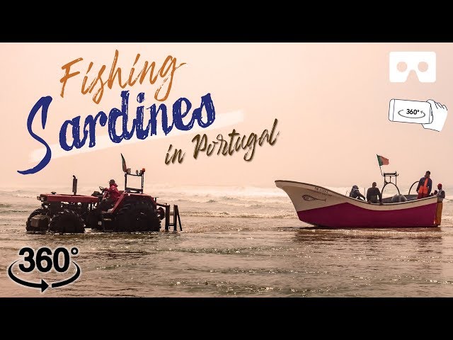 Fishing by the Atlantic Ocean: Portuguese fishermen fishing sardines | Portugal Vlog Ep 06 | Gaba_VR