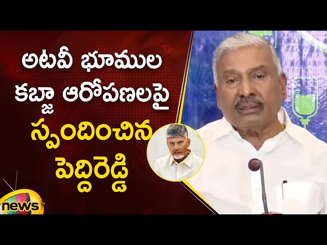 Peddireddy Ramachandra Reddy Responds On Forest Land Encroachment Allegations | YCP | AP Politics