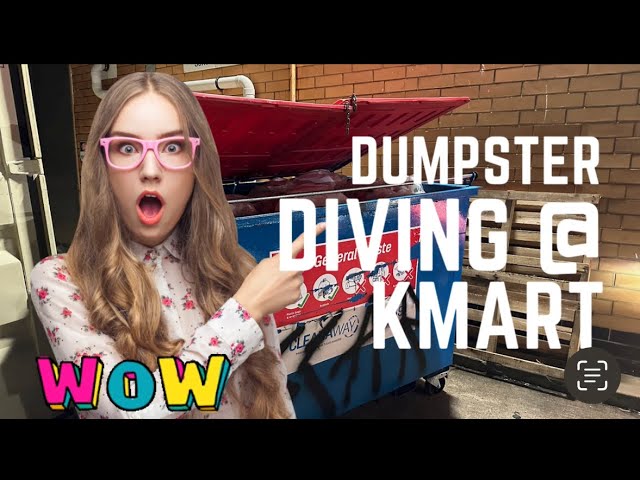 Dumpster Diving// Scored At Kmart all week 😱