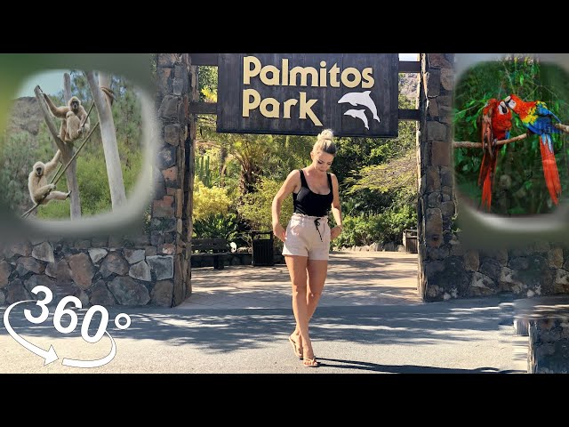 360° Walking Video, Virtual Reality. Palmitos Park, Canary Islands #VR #vr360