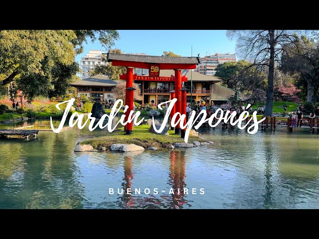 Japanese heart of Buenos-Aires / 4K