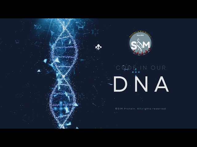 Code in our DNA | SIM Protein | 2024