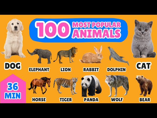 100 Most Popular Animals in the World | English Vocabulary for Kids | Fun Animal Names Learning!