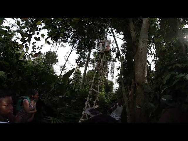 Performance in the Jungle 360° video