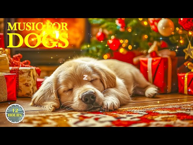 Christmas Music For Dogs🎄🎅Calming Piano Music for Dogs to Help Relieve Stress, Best Dog Music