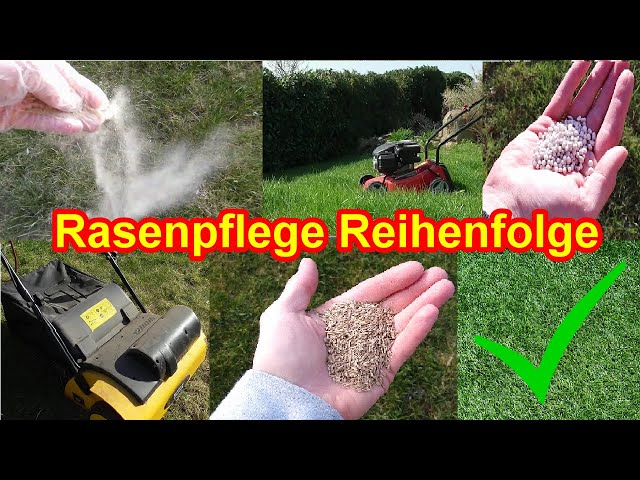 Rasen zuerst düngen oder vertikutieren? – Rasenpflege Reihenfolge - Wann Kalken, Mähen, Düngen...