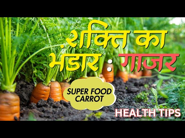 जनिये गाजर (Carrot) कितनी फायदेमंद है | Carrot Benefits | Health Benefits of Eating Carrots || Hindi