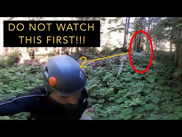 ANSWER TO: How Many Times Can You Spot Bigfoot in this 360° Video?