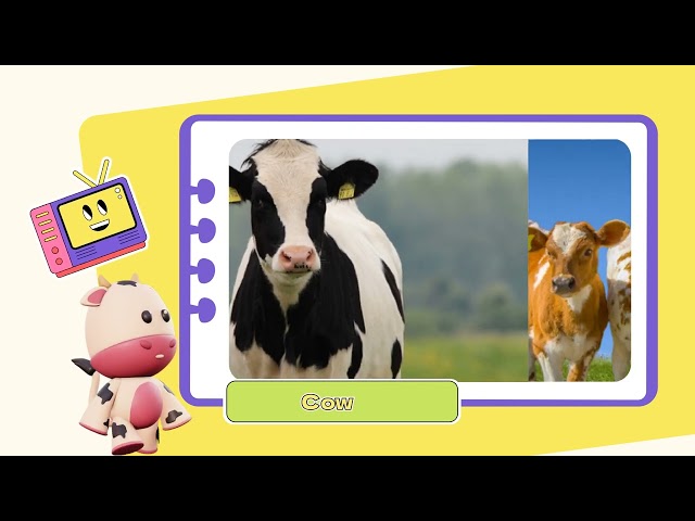 Learn English with Cows | Fun Facts, Cow Names, Farm Animal Vocabulary for Kids