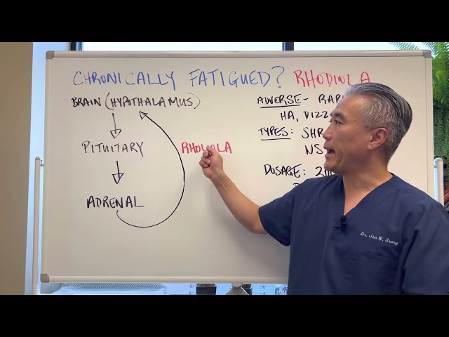 Chronically FATIGUED🥴🥴?  Rhodiola