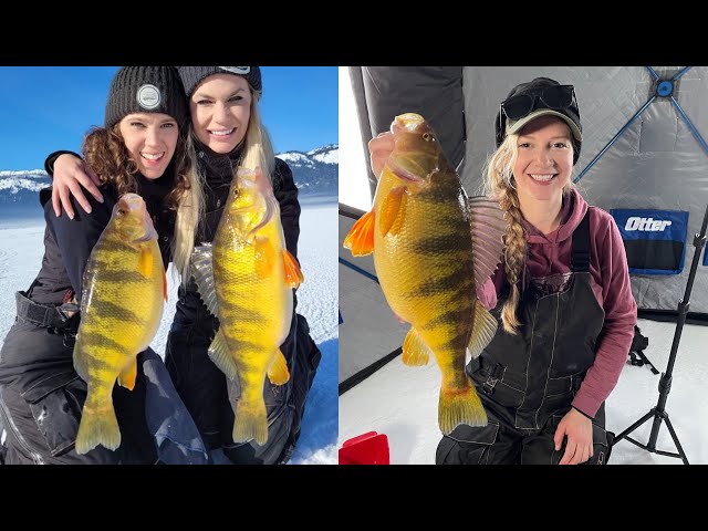 Ice Fishing the Largest Jumbo Perch of Our Lives  |  Cascade Part 2