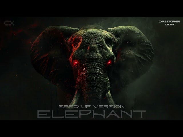 Christopher Ladex - ELEPHANT (Sped Up Version) [TikTok]