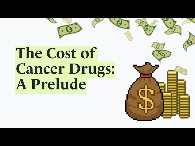 A Prelude to the Billion-Dollar Cost of Cancer Drugs: A Deep Dive into Economics and Access