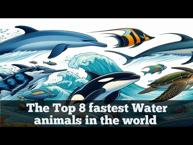 Ranking The FASTEST Water Animals!