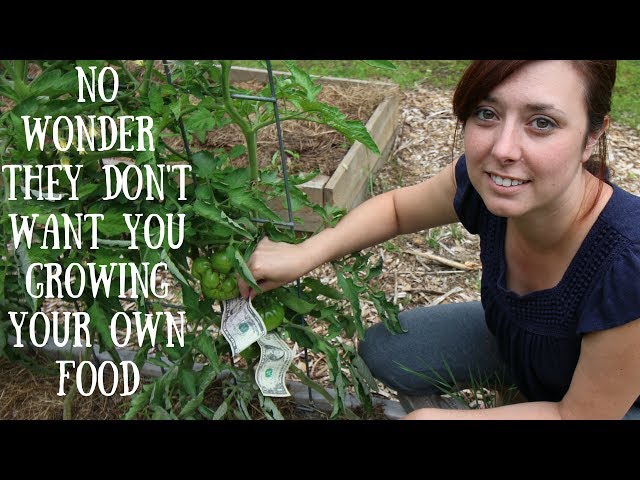 Modern Homesteading = Growing MONEY!