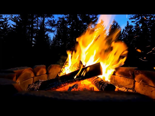 Soothing Jazz by the Fire | Beat Insomnia & Stress Instantly 🔥🎷