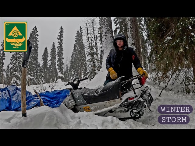 Homesteading "Stuck" In A Winter Storm.  Cabin Build