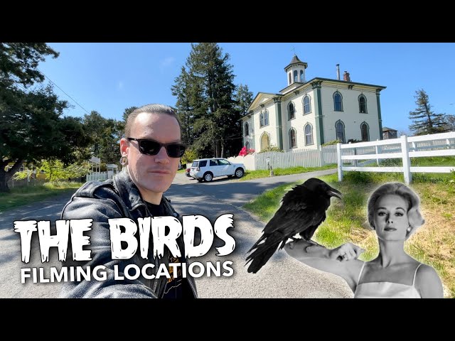 The Birds 1963 Filming Locations Then & Now