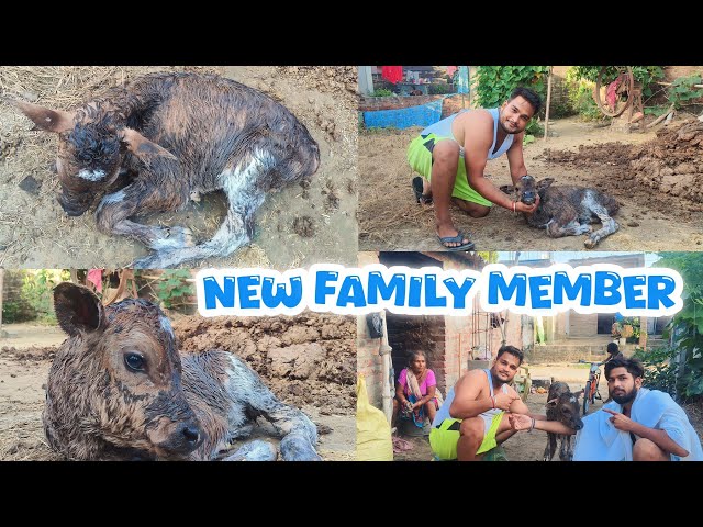 😊Big Surprise For Family😃 || @BharatSahaniVlogs