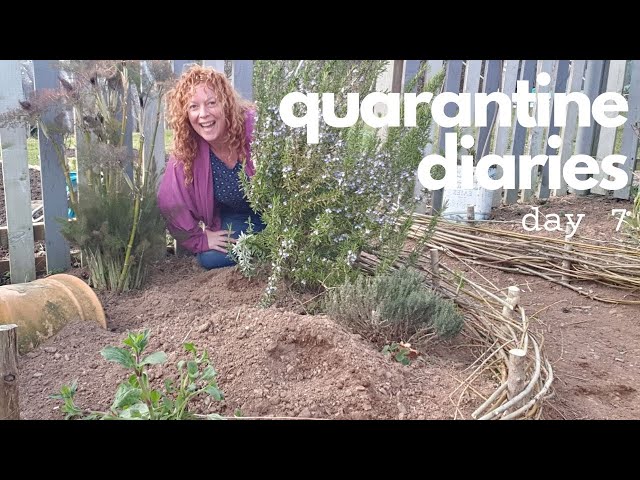 Quarantine Diaries Vlog Day 7: Farm Life | Herb Garden Willow Fence | Kitchen Studio 🌞