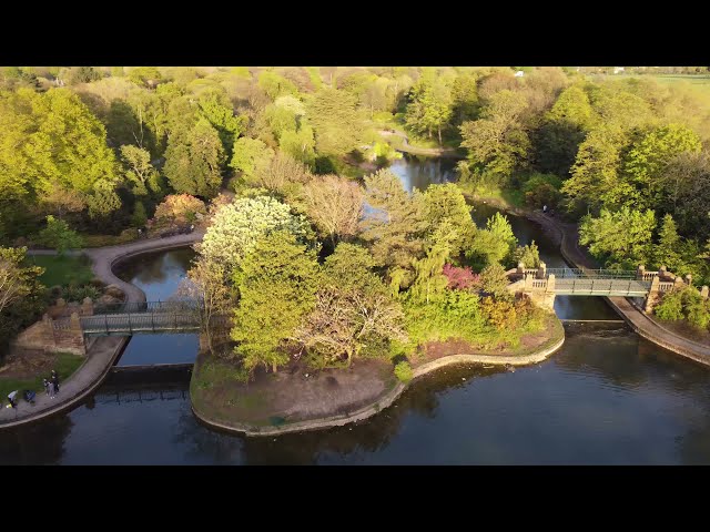 DJI Mini 2 - Stanley Park, Liverpool and Everton FC Stadiums - 4K Footage