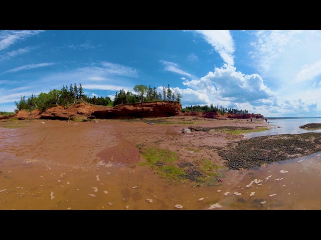 Explore the Ocean Floor | Virtual Reality  探索洋底世界 | 虚拟现实