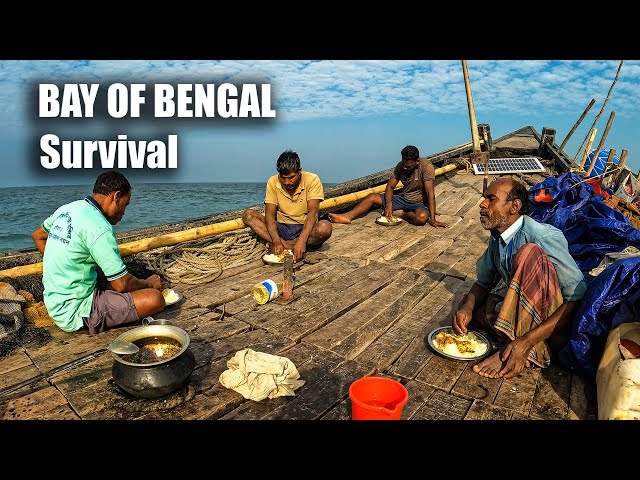 We will Cook Barramundi Fish on the Boat: Our story of Survival in the Bay of Bengal