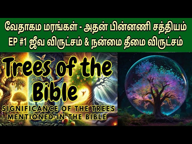 வேதாகமத்தில் மரங்கள் | ஜீவ விருட்சம் - நன்மை தீமை விருட்சம் | Trees in bible in tamil