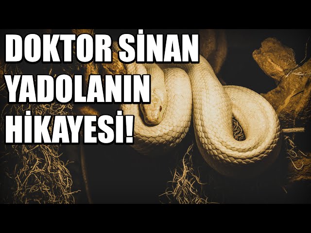 DOKTOR SİNAN YADOLANIN HİKAYESİ BÖLÜM 13 - KORKU HİKAYESİ - KORKU HİKAYELERİ - CİN MUSALLATI