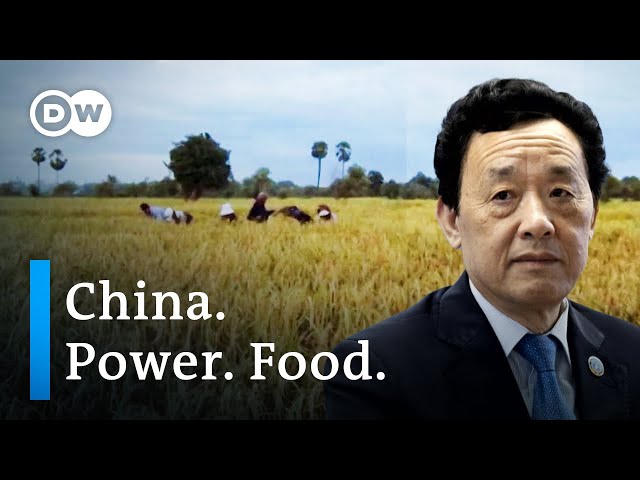 China's grab for the UN‘s Food and Agriculture Organization | DW Documentary