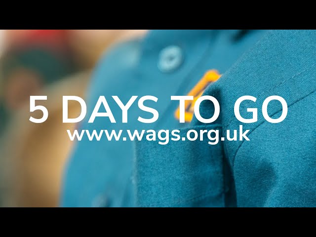 Founders Day and World Thinking Day | 5 Days To Go until WAGS GANG SHOW 2024