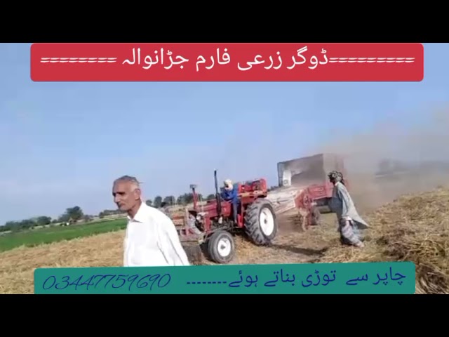 chopper machine working dogar zari From jaranwalaچاپرسے توڑی بناتے ہوئے