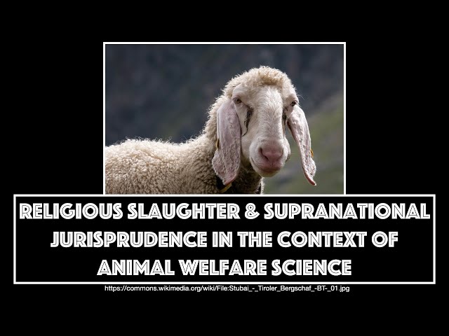 Religious Slaughter and Supranational Jurisprudence .. (Timestamps)