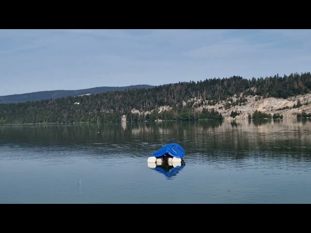 JUPITER DUCK au Lac de Joux, un autre jour